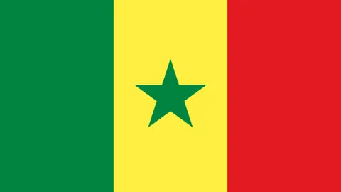 大乐透期号专家推荐：满星英超维拉赛况分析